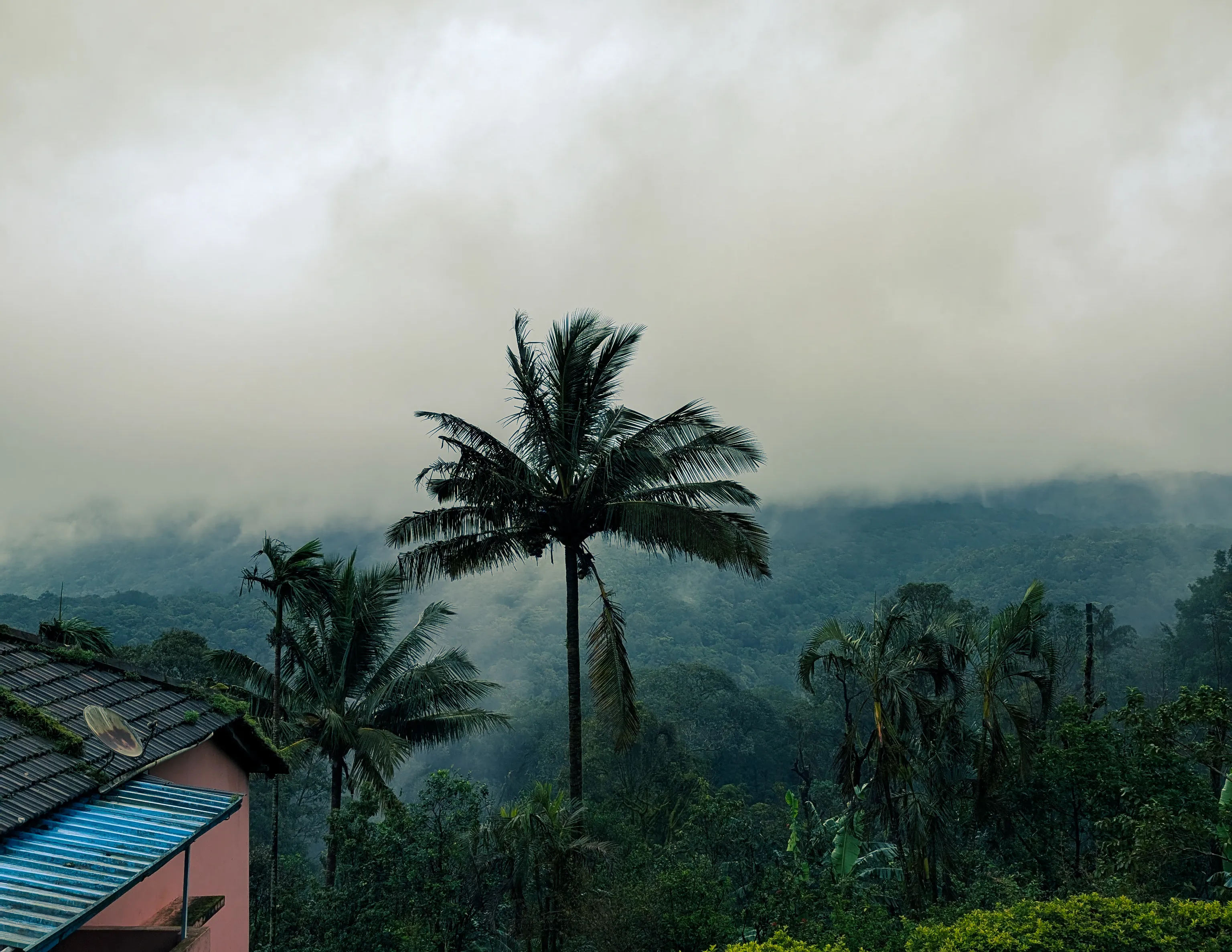 Horizon over Coorg