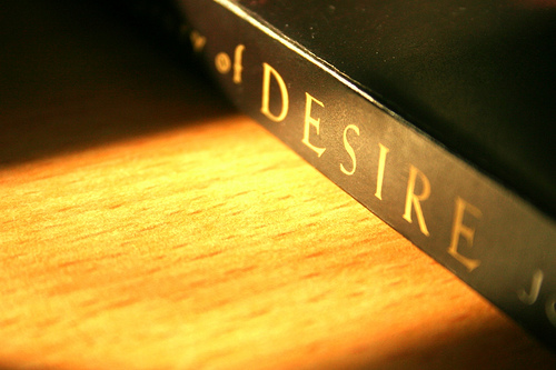 Life and the meaning of Wanting.